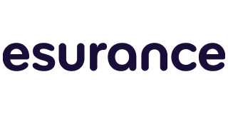 The image features the Esurance logo with the company name in lowercase purple letters on a transparent background, subtly hinting at their commitment to services like The Hail Squad.